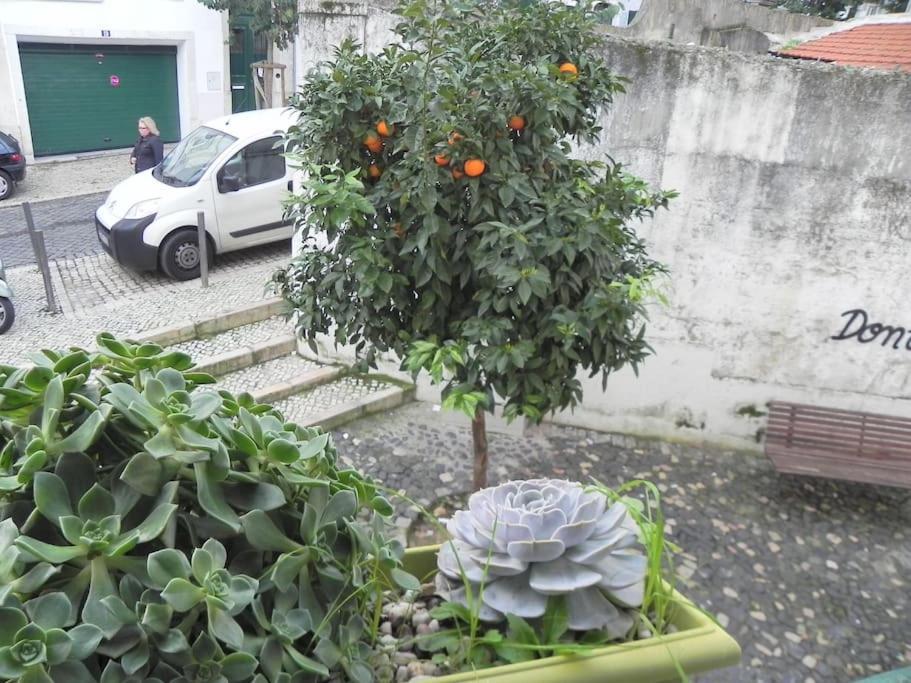 Apartament To+1 Dowtown リスボン エクステリア 写真